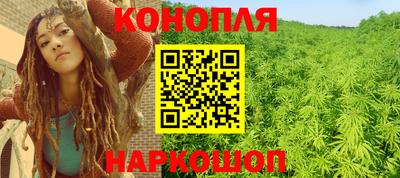 прущие грибы Комсомольск-на-Амуре