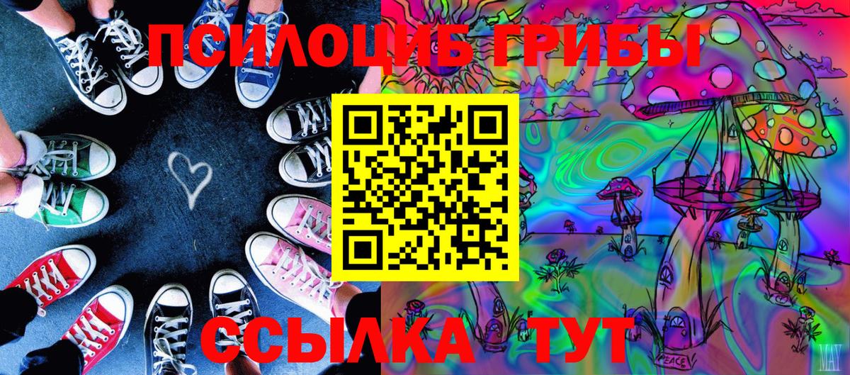 Кисловодск  Галлюциногенные грибы Psilocybine cubensis  Вход с VPN 